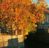 Russia experienced the warmest fourth autumn in history