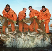 Russia implemented a salmon protection project for future generations