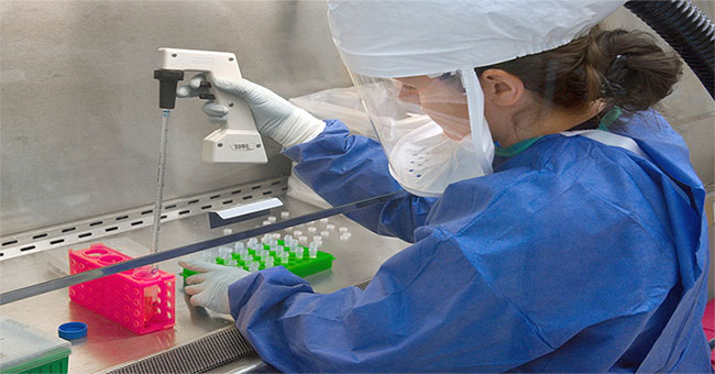 Russia invented bio-hybrid equipment to help early diagnosis of cancer