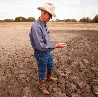 Russian agriculture lost more than $ 1 billion due to the weather