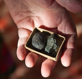 Russian meteorite turned into