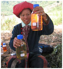 Sa Pa initiative to the final