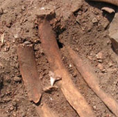 Sacrifice ceremony through the newly discovered ancient temple