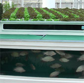 Safe and sustainable agricultural models of the future