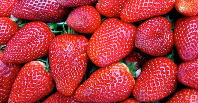 Safe silk technology keeps fresh fruit longer