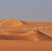 Sahara wildlife is getting less and less