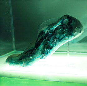 Samples of shoes can reproduce themselves after 1 night