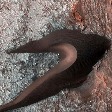 Sand dunes are leeches on Mars