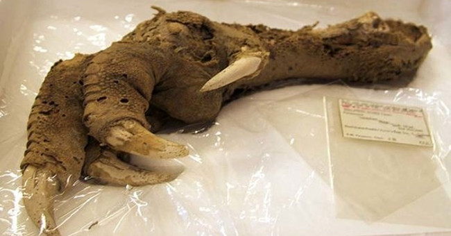 Scary archaeological findings