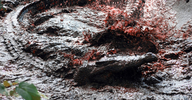 Scary of the bloodthirsty animal cases of human massacre