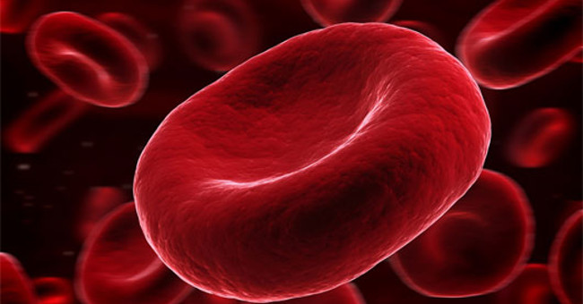 Scary things nobody knows about blood