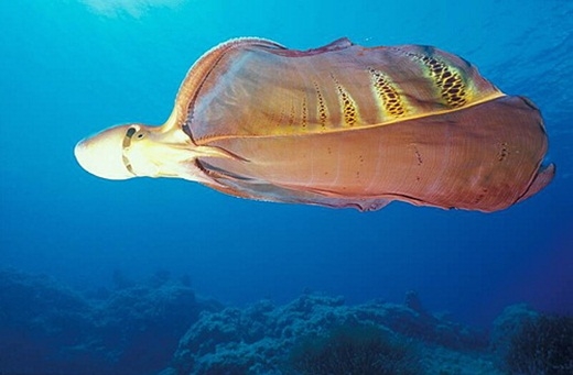 Scary things you don't know about the natural world