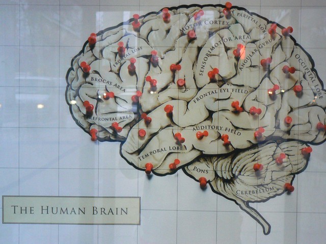 Science can read human thoughts with black and white paper