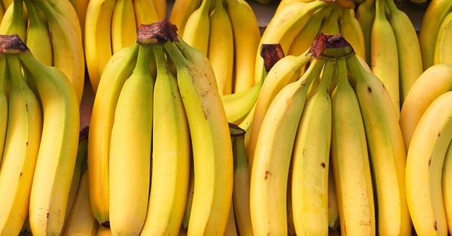 Science proves we're going to have no bananas to eat