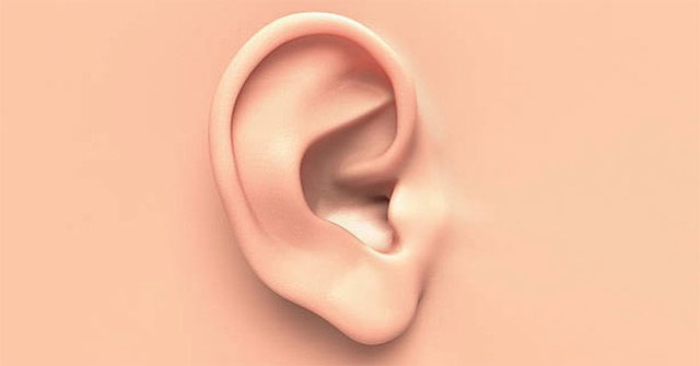 Science says that 14 parts of the body will reveal your intelligence