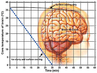 Scientific report: Just have a picture as a reader ... believe!