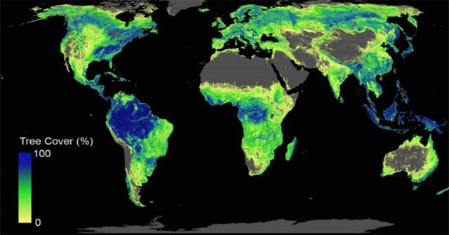 Scientific reports instructing how many trees to plant are enough to save the Earth