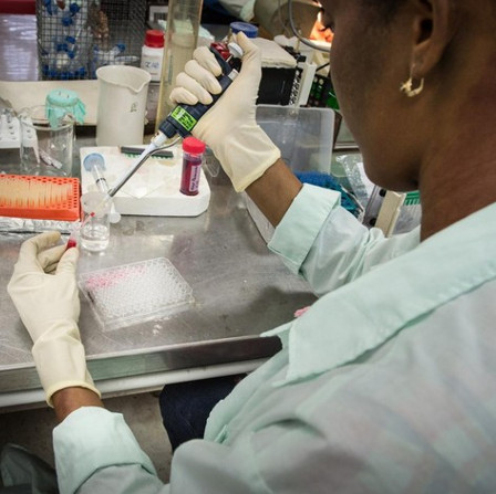 Scientists accidentally found a cure for cancer