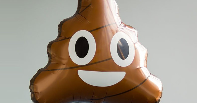 Scientists already know exactly what in the feces we have