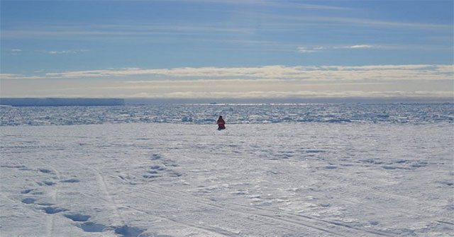 Scientists' brains shrink after an Antarctic expedition