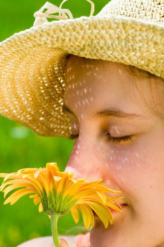 Scientists can increase the fragrance of flowers