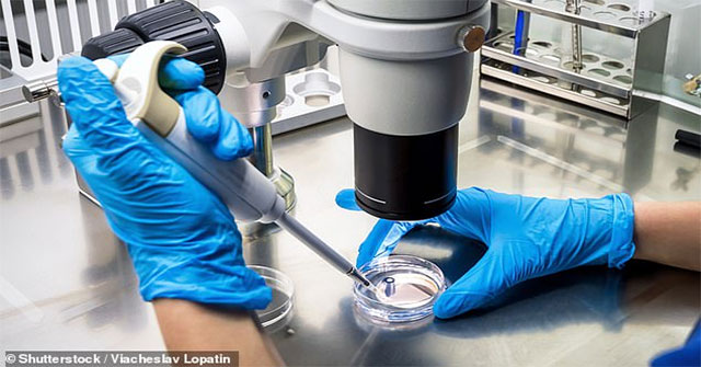 Scientists 'create' viruses that destroy all types of cancer cells
