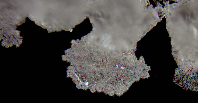 Scientists discover crystals may also be bent