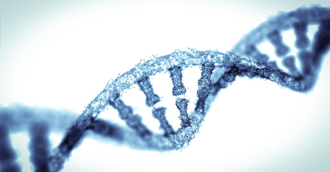 Scientists discovered 52 smart genes that determine 5% of your intelligence