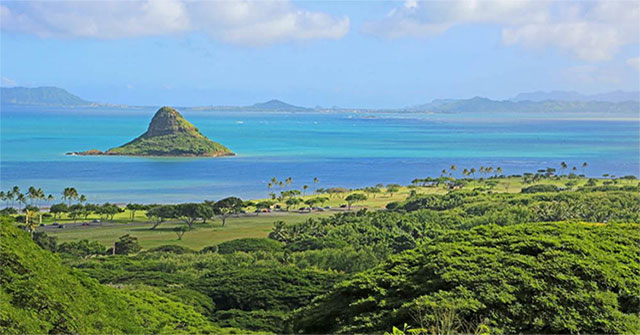 Scientists discovered 'self-healing' super corals in Hawaii