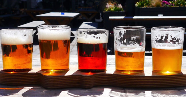 Scientists discovered that beer has a therapeutic effect