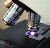 Scientists have created new types of conductive materials