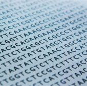Scientists have figured out how to change the genome in humans