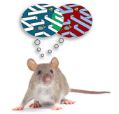 Scientists have found a way to change memories