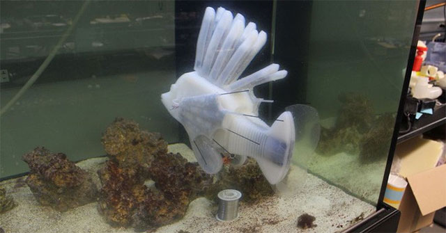 Scientists have just created fish robots that run by 'blood'