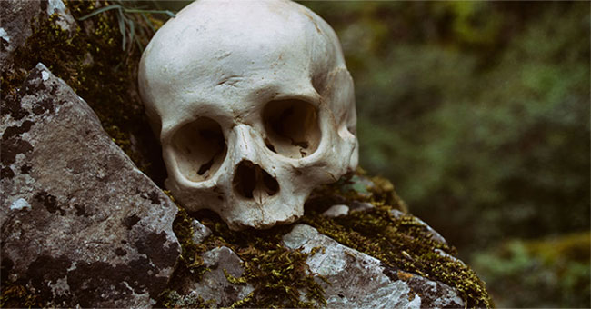 Scientists predict when humans will become immortal
