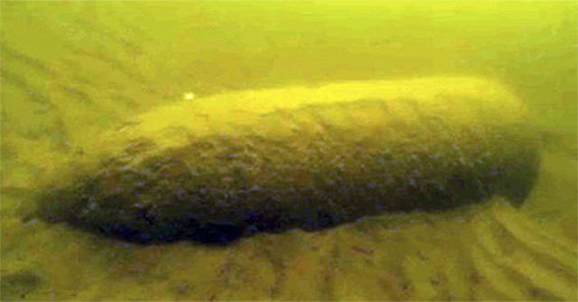 Scientists spread bacteria onto Nazi bombs submerged under the sea