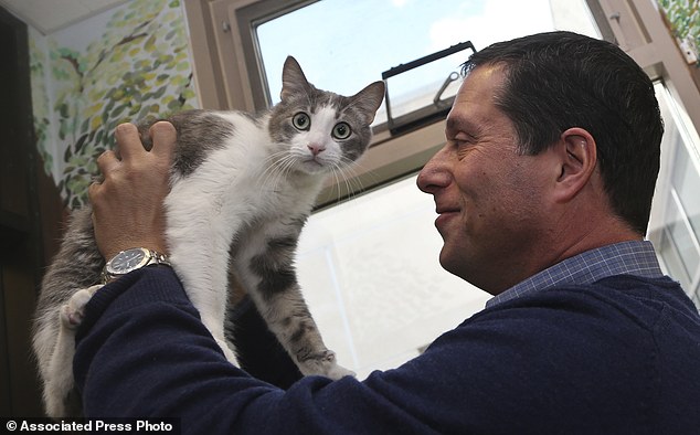 Scientists succeed in studying cat language