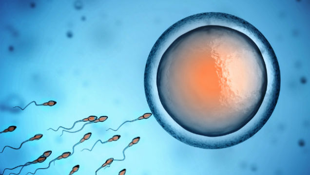 Scientists want to close the barcode on sperm and egg cells