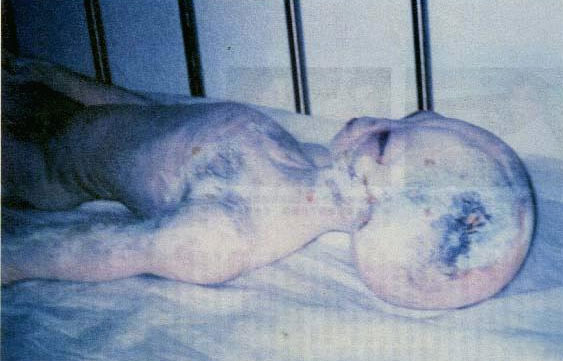 Scientists want to eat aliens?