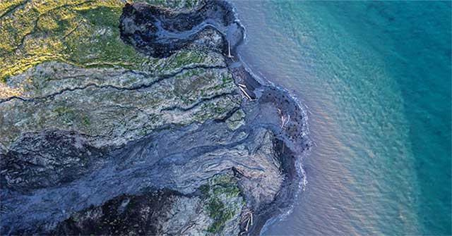 Scientists worry because weed is growing in the Arctic