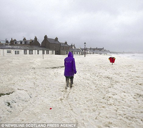 Scotland sinks in the bubble storm