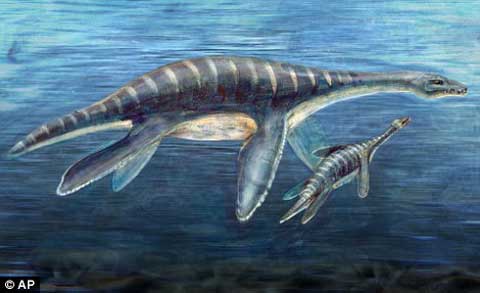 Sea monsters really exist?