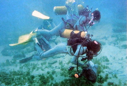 Seagrass is in danger of extinction