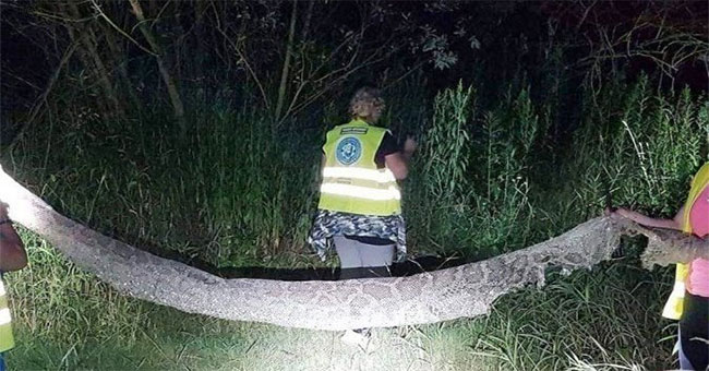 Search for landmarks nearly 5 meters long on the banks of the Polish river