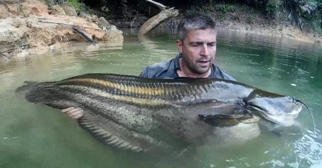 Search for legendary monsters in the Malaysian rainforest