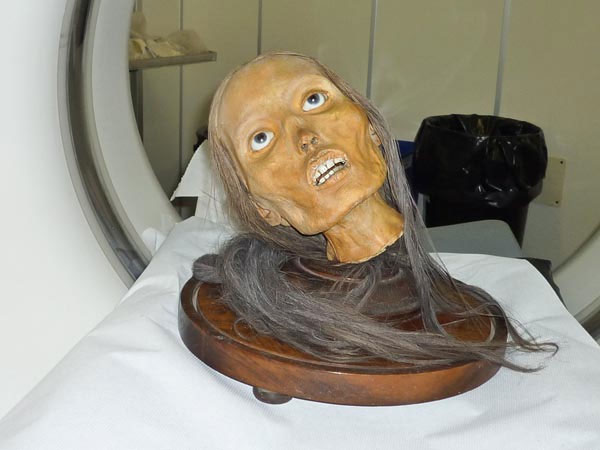 Secret inside the skull of the mummy of the 19th century