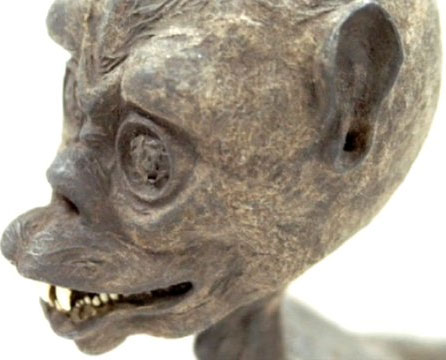Secret mummy monkey head, I fish