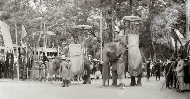 'Secrets of taming elephants of the Central people 400 years ago