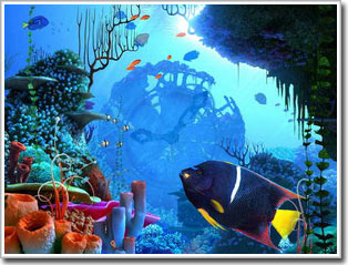 Secrets of the sea: Sounds and sea creatures