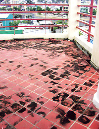 Secrets of waterproofing houses (1)